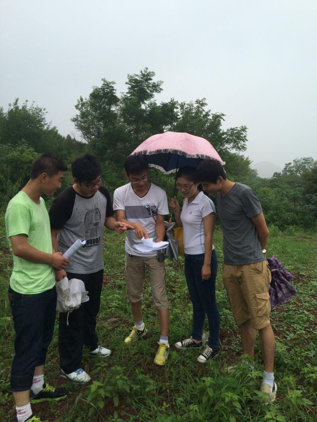 雨中采景讨论剧本